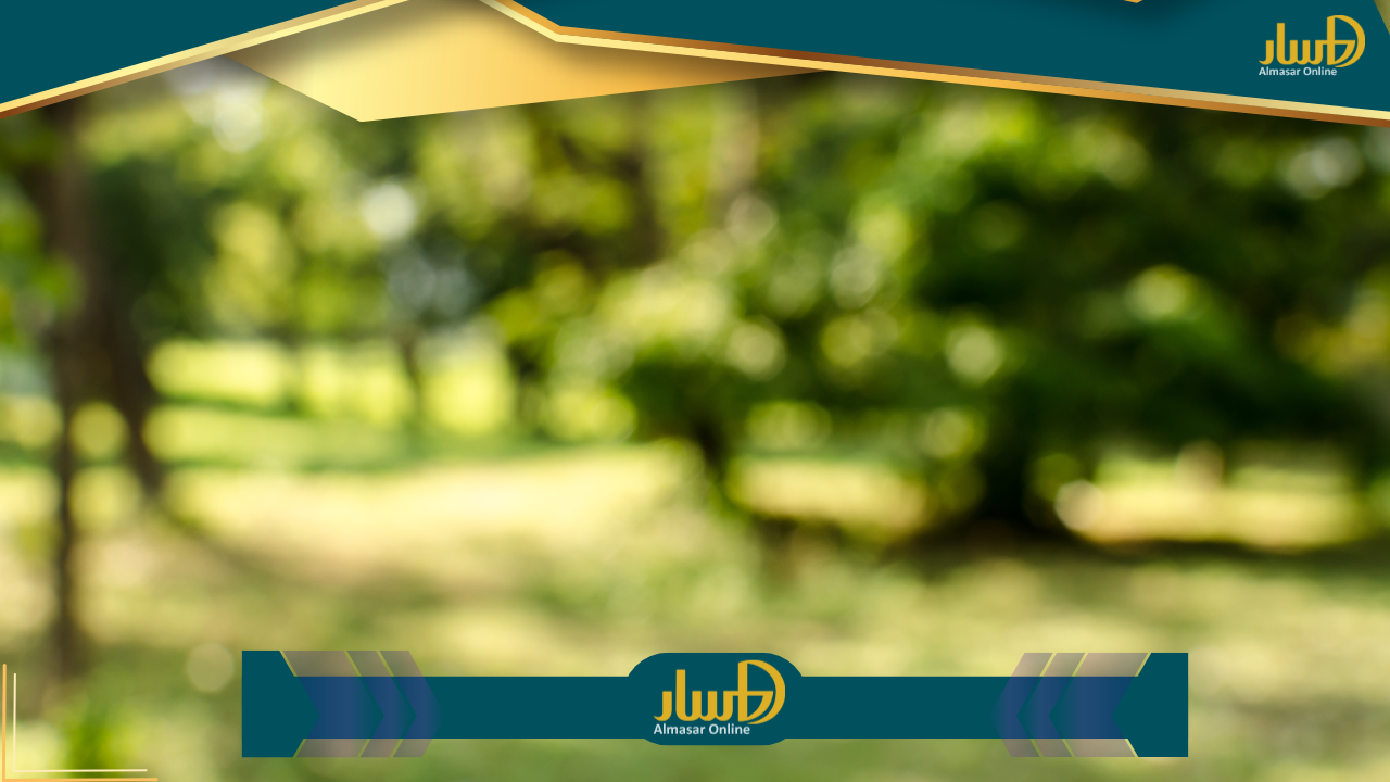 سيارات 2024 كاملة التجهيزات متاحة الآن بأسعار تحت 700 ألف جنيه
